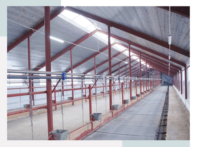 Строительство коровников в Соколе от 625 руб.