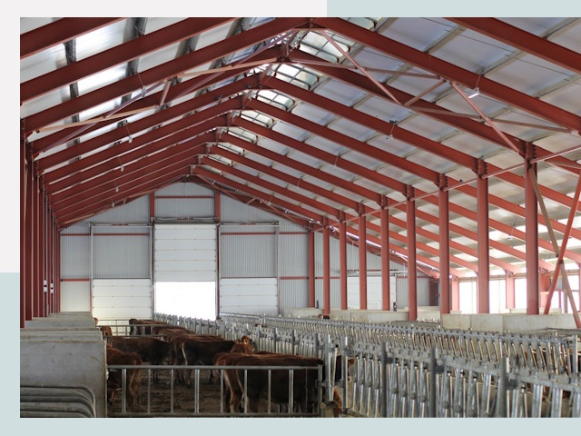 Строительство коровников в Соколе