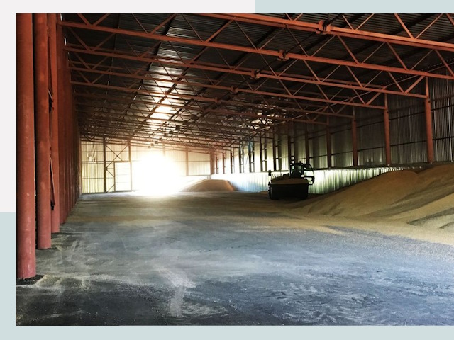 Строительство зернохранилищ в Соколе